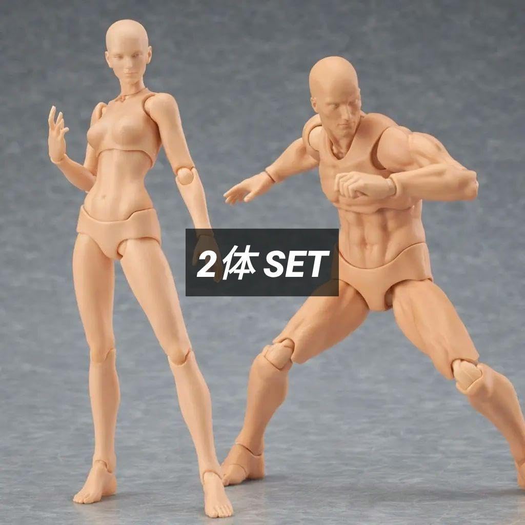Amazon | デッサン人形 男女セット 肌色 可動式 30cm 素体 モデル人形